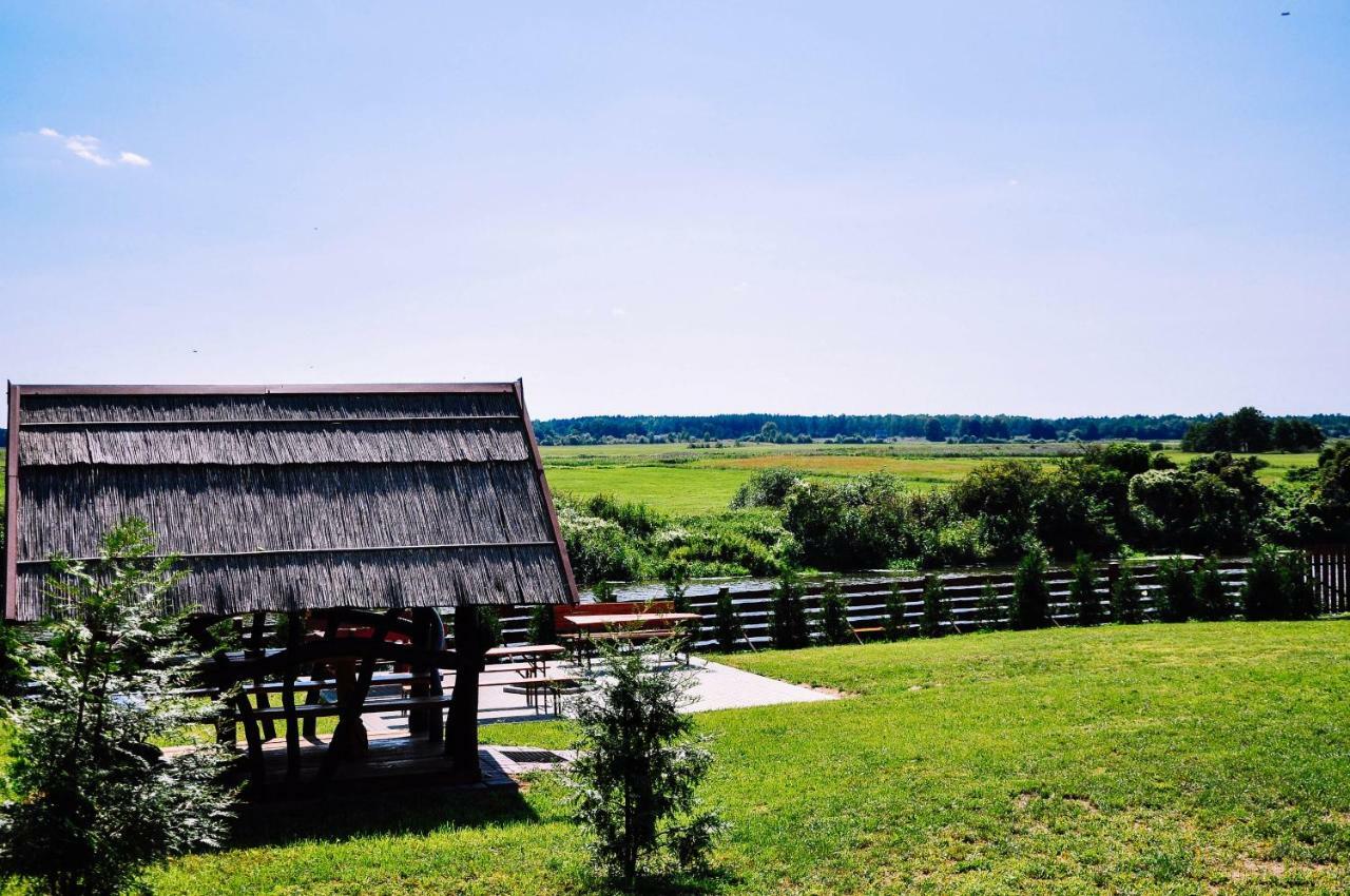 Zwirowa Gora - Domki Nad Narwia 蒂科钦 外观 照片
